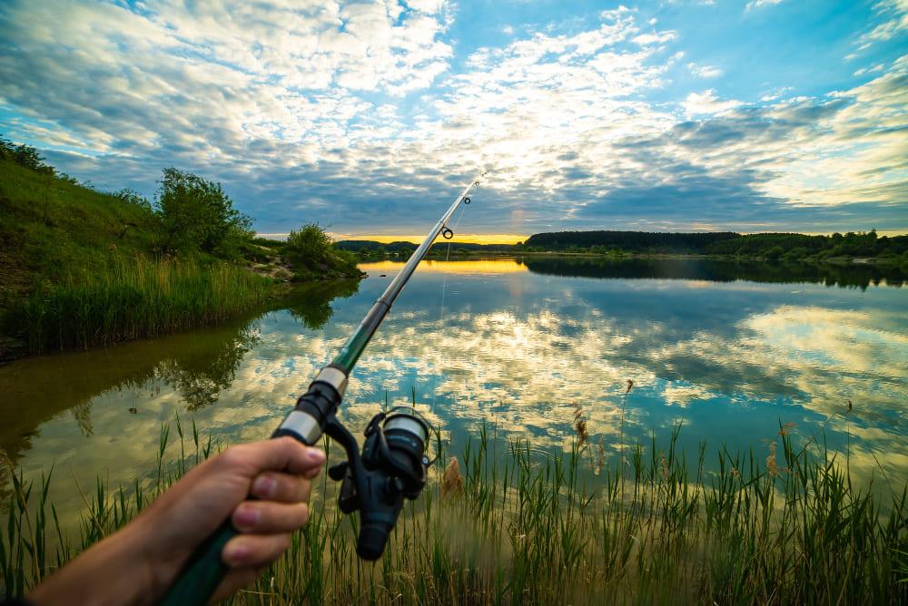 Río Limay: la joya de la pesca con mosca en Argentina